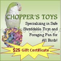 PTA_ad4.bmp - 4 - $25 Gift Certificates to Chopper's Toys