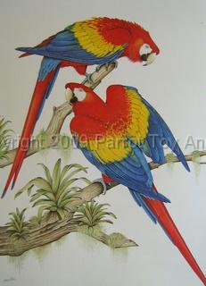 SCARLET.JPG - Scarlet Macaws by Eric Peake