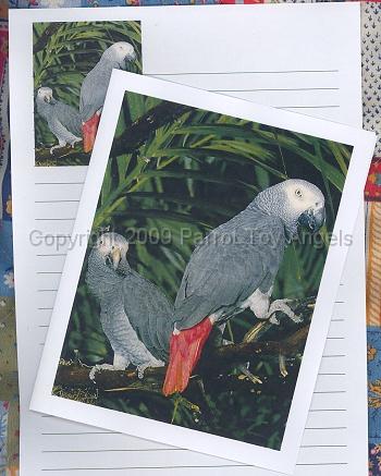 greynotecards.jpg - African Grey Note Cards