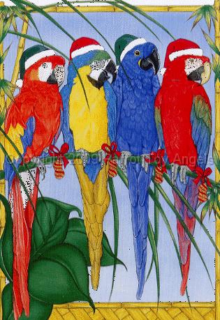 macawcard.gif - Macaw Christmas Cards