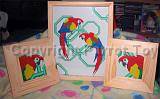 macaw_set