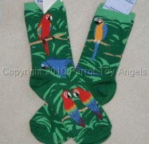 greenmacawsocks2.jpg - Macaw Socks