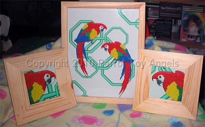 macaw_set.jpg - Macaw Prints - Set of 3 framed