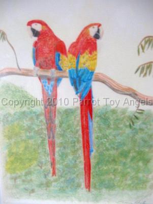 macaws_8x10.jpg - Macaws Print - 8 x 10" - by Shauna Roberts
