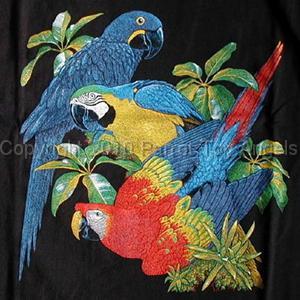 tshirt.jpg - Macaws T-Shirt - X-Large
