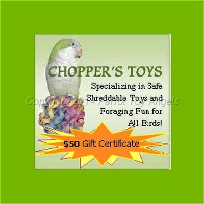 choppers_2014_2.jpg - Chopper's Toys $50 Gift Certificate - 2 available