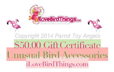 coupon.jpg - I Love Bird Things $50 Gift Certificate - 4 available