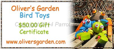 olivers1.jpg - Oliver's Garden Bird Toys $50 Gift Certificate