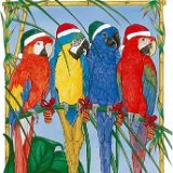 Set of 10 Macaw Holiday Cards