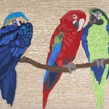 Parrot Mat - Indoor/Outdoor
