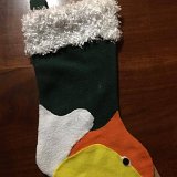 White Bellied Caique Stocking